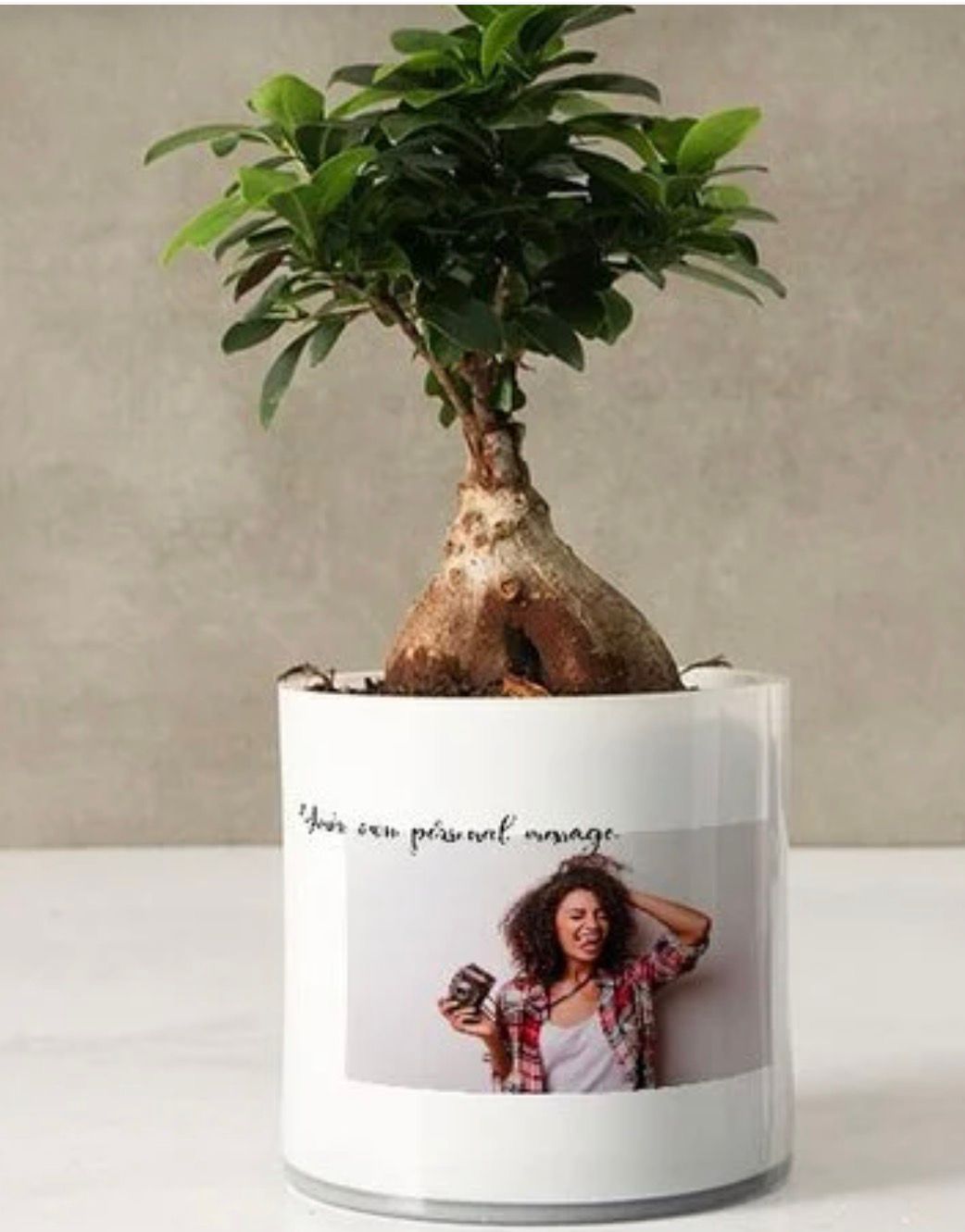Succulents with Handcrafted Planters thumbnail 6