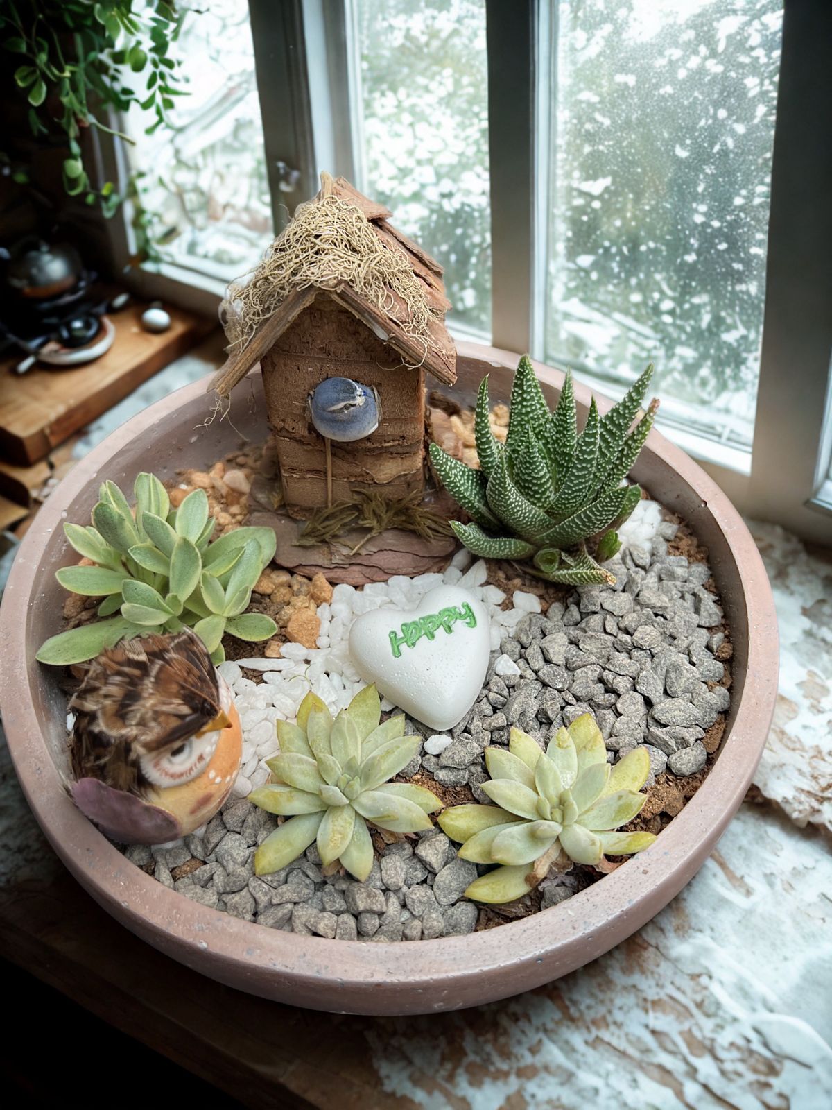 Succulents with Handcrafted Planters thumbnail 2