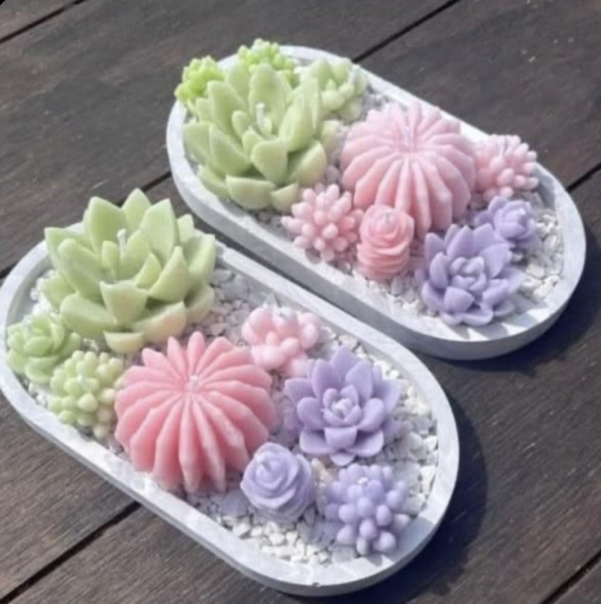 Buy Cactus Candles Online